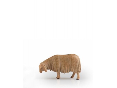 Schnupperndes Schaf 2 fach gebeizt